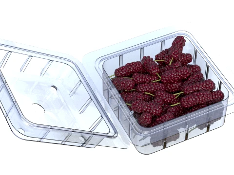 Mulberry Fruit Box Plastic Transparent 3D Model