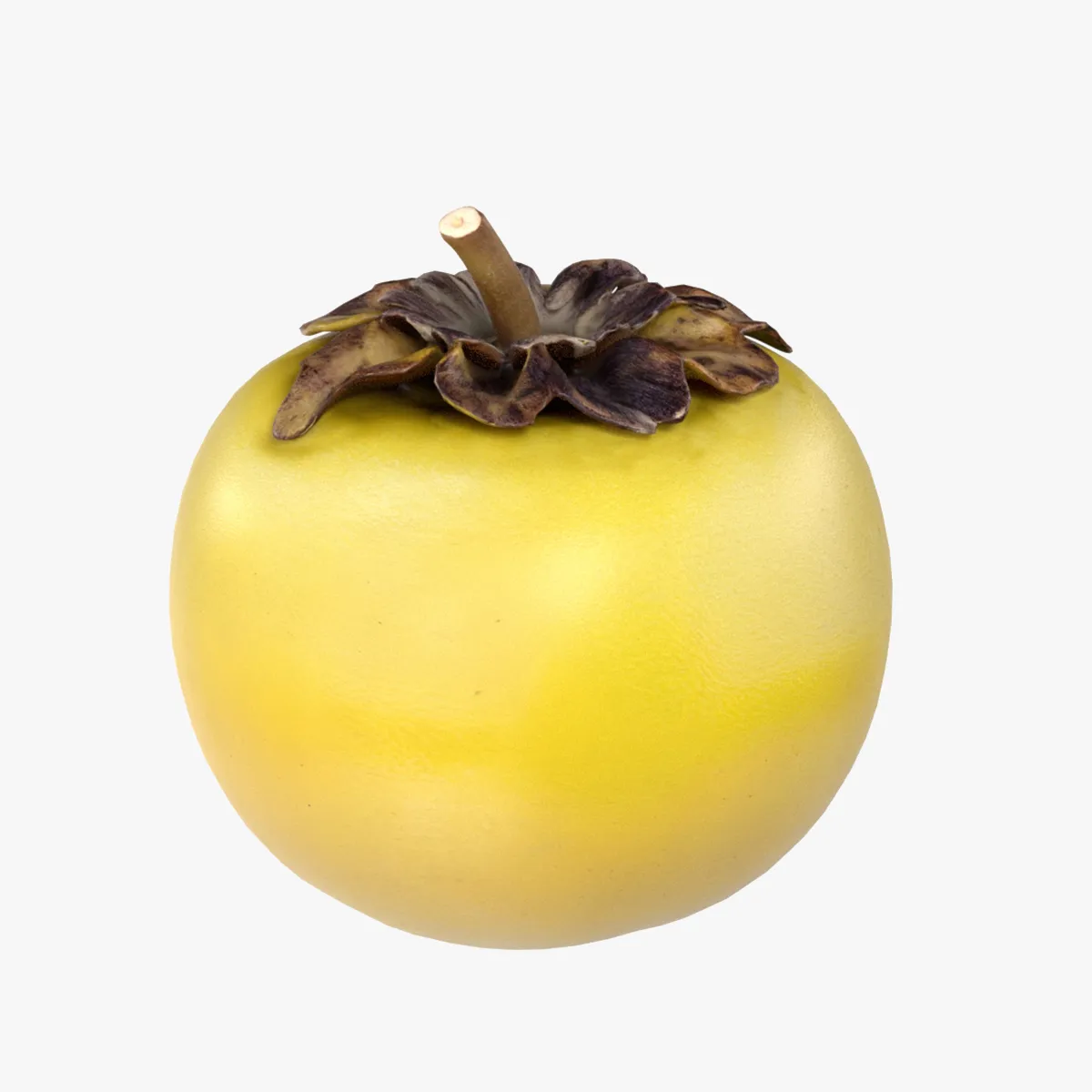 Nance Fruit 3D Model .c4d .max .obj .3ds .fbx .stl .blend 