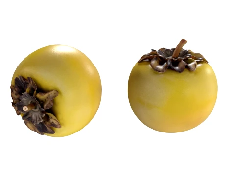 Nance Fruit 3D Model