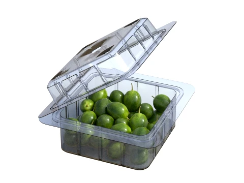 Olive Fruit Box Plastic Transparent 3D Model