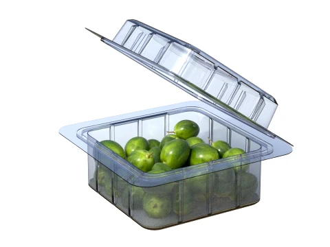Olive Fruit Box Plastic Transparent 3D Model