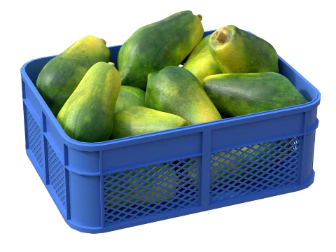 Papaya Plastik Kasa 3D Model