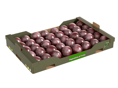 Passionsfrucht-Karton 3D Modell