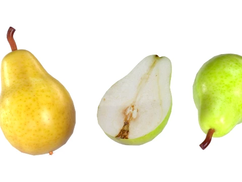 Pear Fruit 3D Model