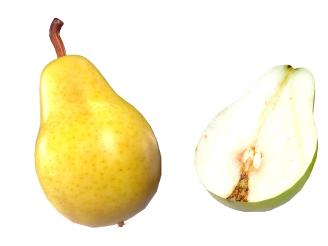Pear Fruit 3D Model