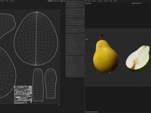 Pear Fruit 3D Model