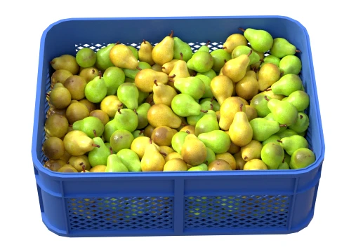 Pear Plastic Crate 3D Model
