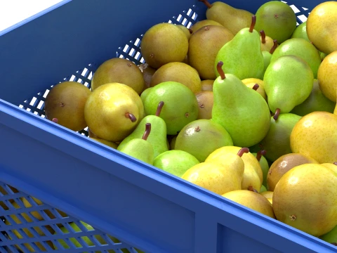 Pear Plastic Crate 3D Model