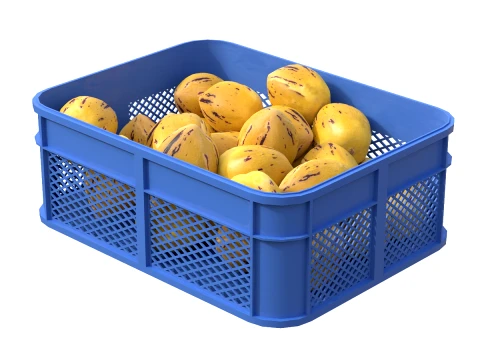 Caj&oacute;n De Pl&aacute;stico Pepino Modelo 3D