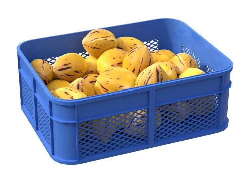 Pepino Plastic Crate 3D Model