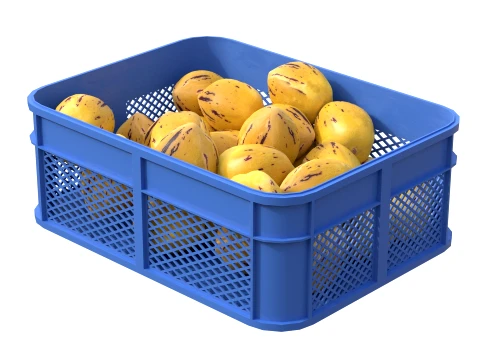 Pepino Plastic Crate 3D Model