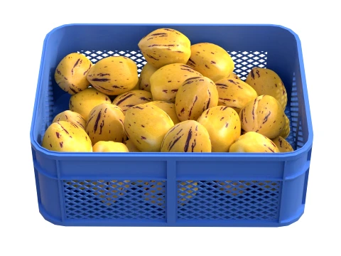Pepino Plastic Crate 3D Model