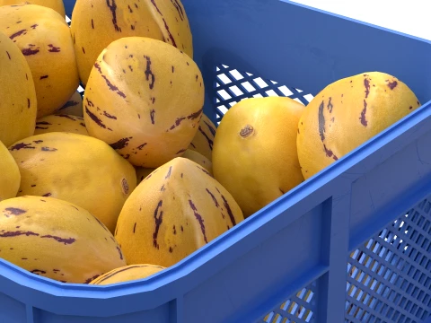 Pepino Plastic Crate 3D Model