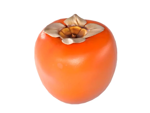 Persimmon Fruit 3D Model
