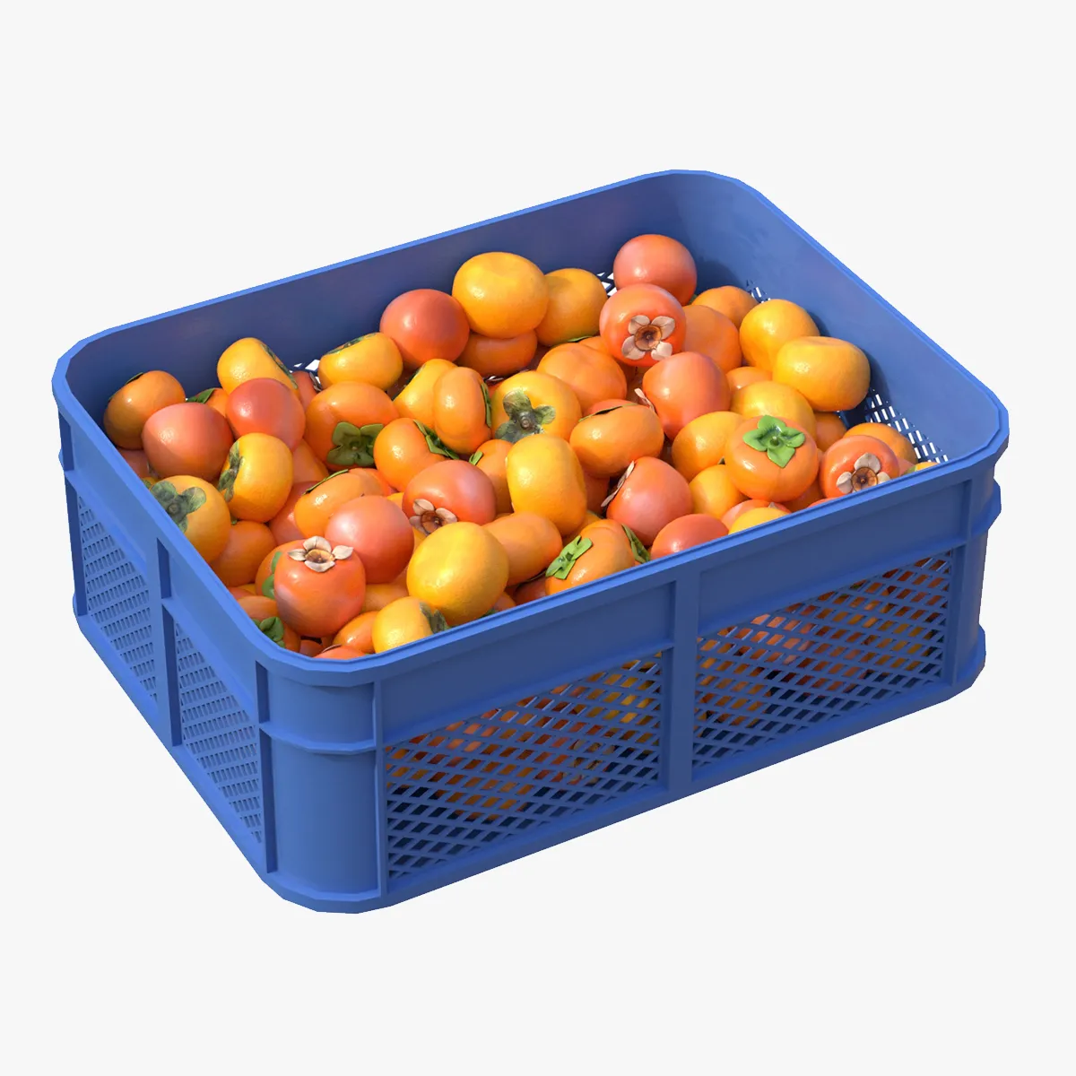 Persimmon Plastic Crate 3D Model .c4d .max .obj .3ds .fbx .stl .blend 