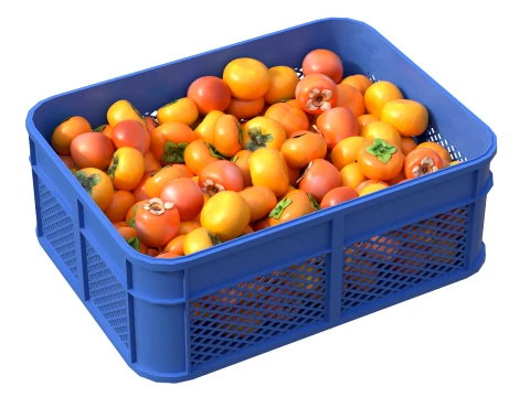 Caja de pl&aacute;stico caqui Modelo 3D