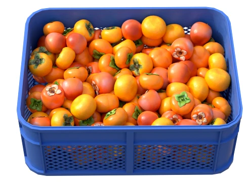 Persimmon Plastic Crate 3D Model