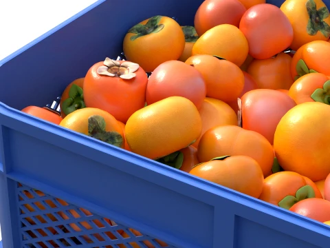 Persimmon Plastic Crate 3D Model