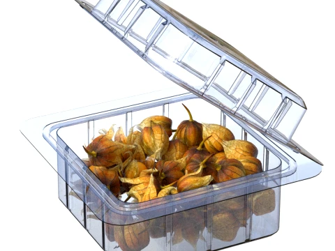 Physalis Fruit Box Plastic Transparent 3D Model