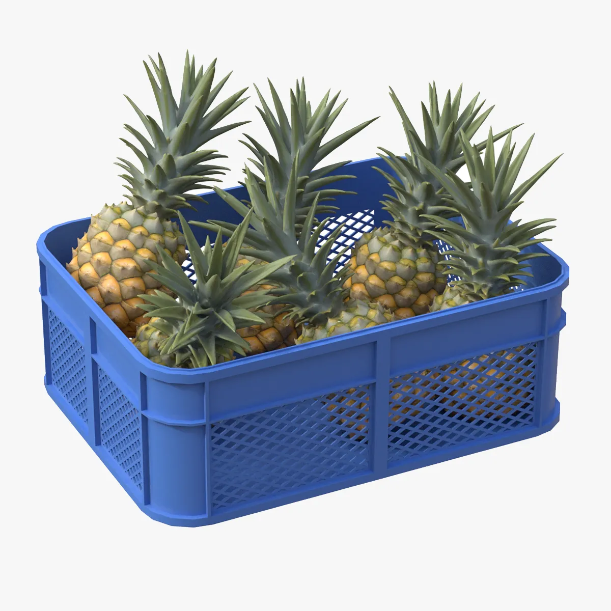 Pineapple Plastic Crate 3D Model .c4d .max .obj .3ds .fbx .stl .blend