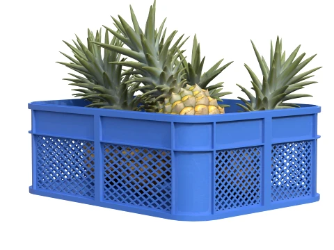 Pineapple Plastic Crate 3D Model