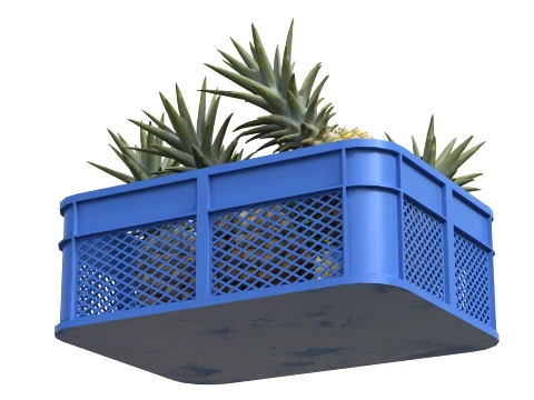 Pineapple Plastic Crate 3D Model