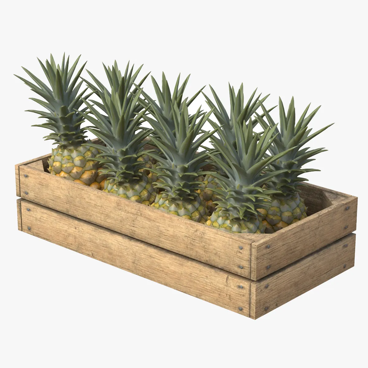 Pineapple Wooden Crate 3D Model .c4d .max .obj .3ds .fbx .stl .blend 
