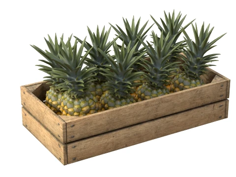 Pineapple Wooden Crate 3D Model