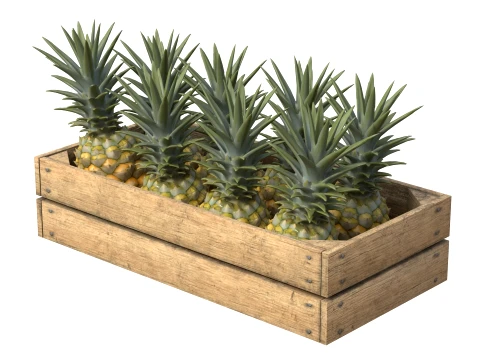 Pineapple Wooden Crate 3D Model
