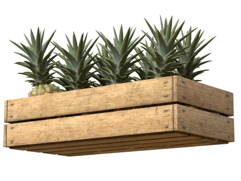Pineapple Wooden Crate 3D Model