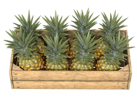 Pineapple Wooden Crate 3D Model