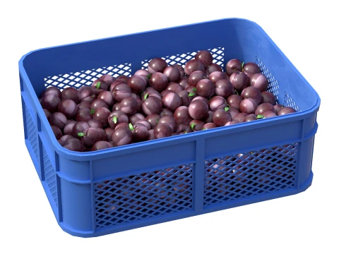 Caja de pl&aacute;stico de ciruela Modelo 3D