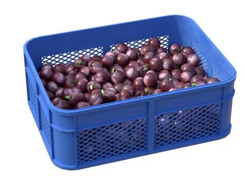 Plum Plastic Crate 3D Model