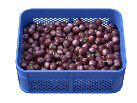 Plum Plastic Crate 3D Model
