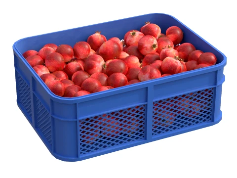 Pomegranate Plastic Crate 3D Model