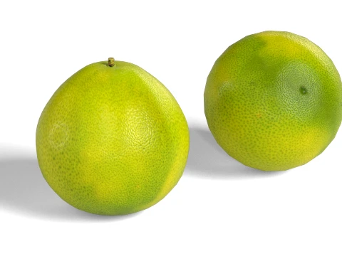 Pomelo Fruit 3D Model