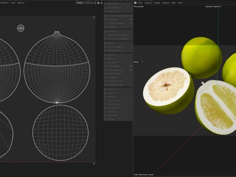 Pomelo Fruit 3D Model
