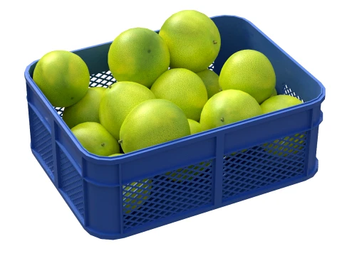 Pomelo Plastic Crate 3D Model