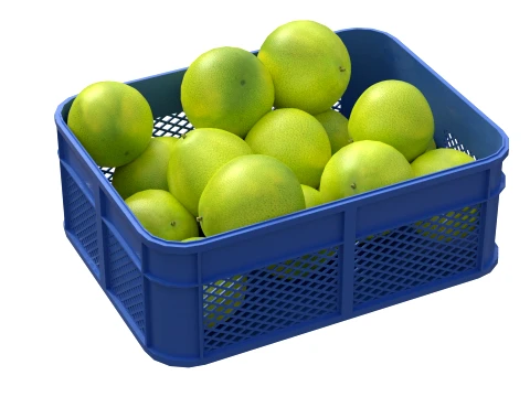 Pomelo Plastic Crate 3D Model
