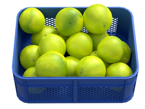 Pomelo Plastic Crate 3D Model