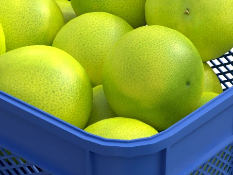 Pomelo Plastic Crate 3D Model