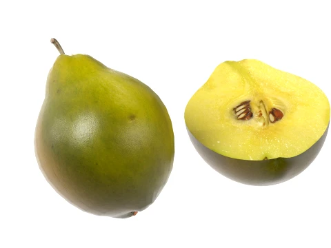 Quince Fruit 3D Model