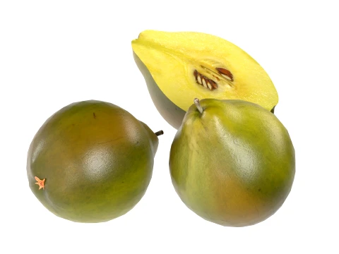 Quince Fruit 3D Model