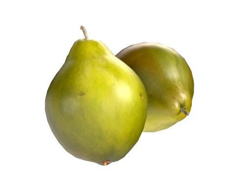 Quince Fruit 3D Model