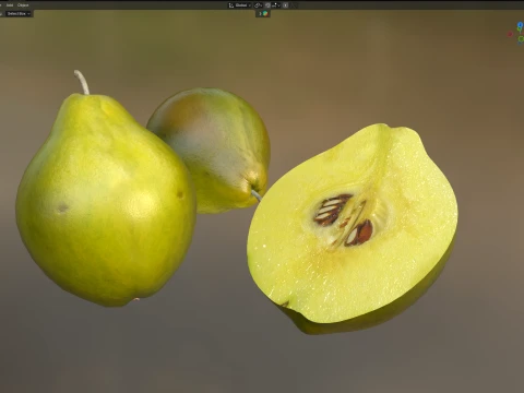 Quince Fruit 3D Model