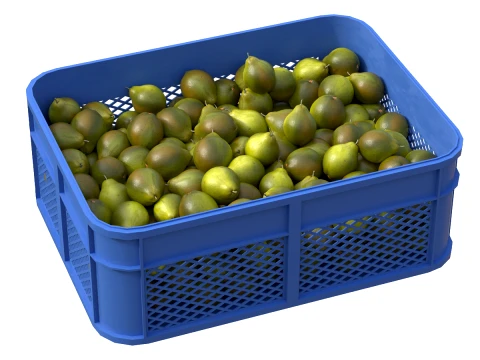 Quince Plastic Crate 3D Model