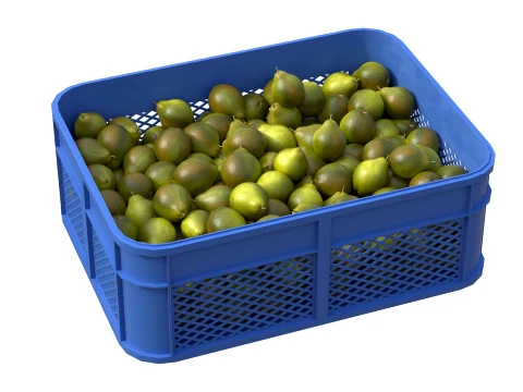 Quince Plastic Crate 3D Model