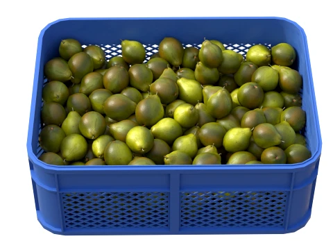 Quince Plastic Crate 3D Model