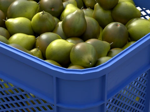 Quince Plastic Crate 3D Model