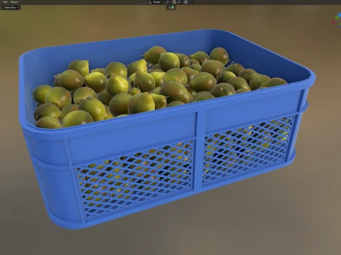 Quince Plastic Crate 3D Model